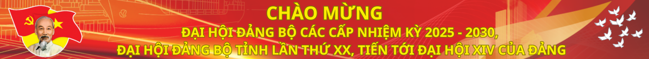 Banner 3